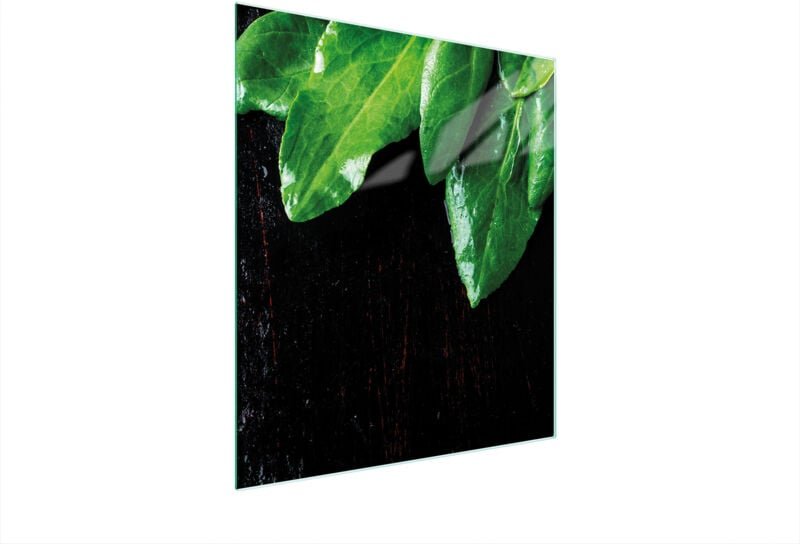 Glasschneidebrett 45x52 Basilikum