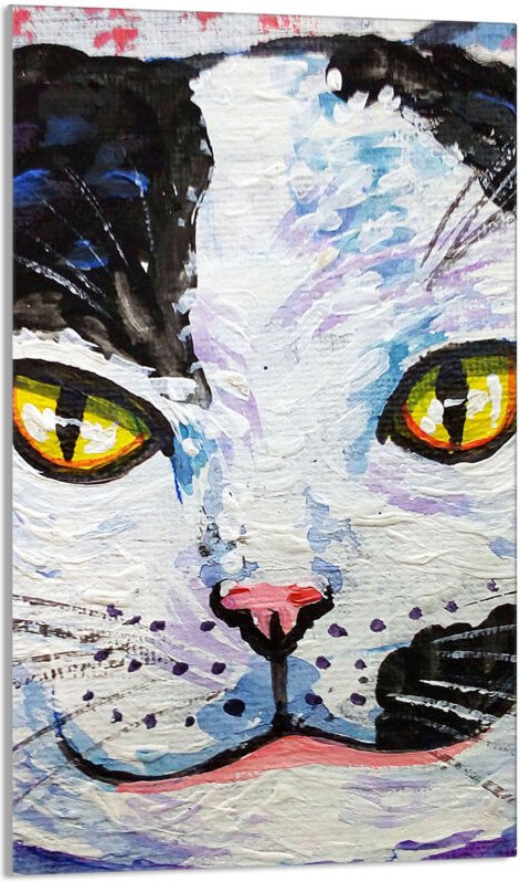 Glasschneidebrett 30x52 Katze