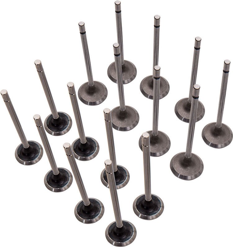 16×Einlassventil+Auslassventil Für Renault Clio Kangoo Laguna Megane 1,4 1,6 16V16×Einlassventil+Auslassventil Für Renau...