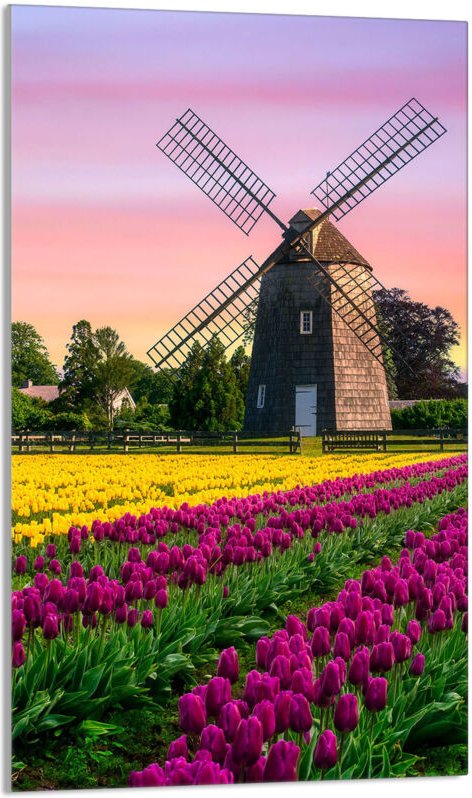 Glasschneidebrett 30x52 Wiese