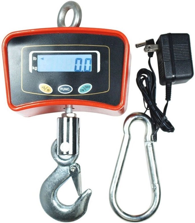 Trade Shop - BILANZEN DA GRU 200 KG MIT INOX INDUSTRIAL BUDGET -