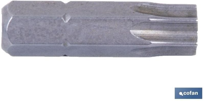 Torx T-25 Schraubendreherbit 25 mm