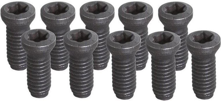 Satz mit 10 T20-M4-Schrauben Fervi kv200 x utensile tornio