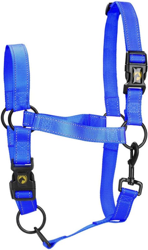 Excellent horse premium halfter s fohlen blau
