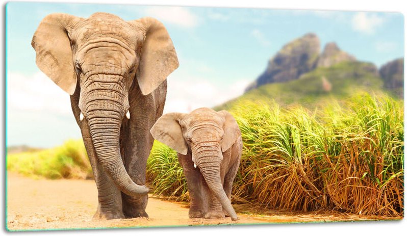 Glasschild Schneidebrett 52x30 Elefant