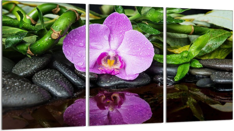 Glasschutzplatte für Herd 3x30x52