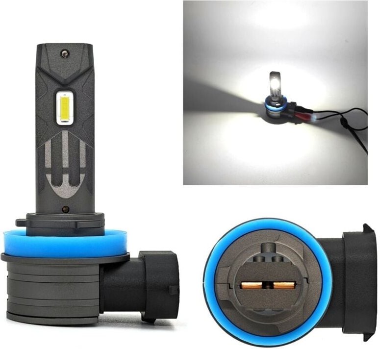 H9 LED-Birnen 12V Canbus CSP 2 Stück stark