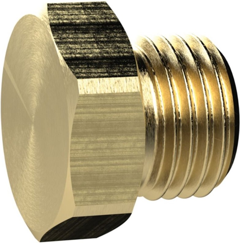 Riegler - Verschlussschraube, Außensechskant, g 2, sw 70, ms