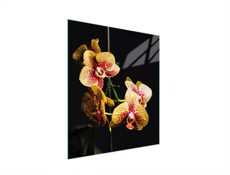 Glasschneidebrett 45x52 Orchidee