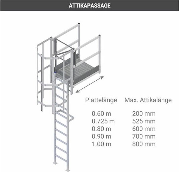 Echelle Direct - Echelle crinoline palier de sortie 0.60m - h. à franchir 3.10 à 3.60m - CS36-CPSH-060