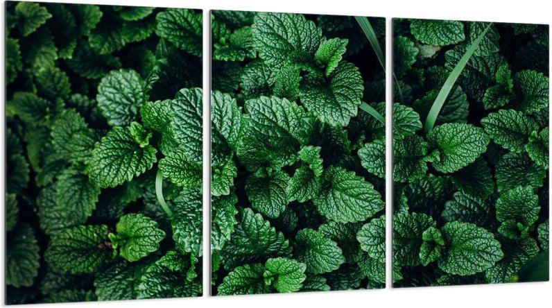 Glasschutzplatte für Herd 3x30x52