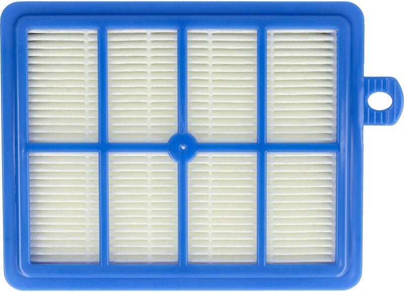 vhbw 1x Staubsaugerfilter kompatibel mit AEG Viva Control AVC 1229 Staubsauger - Abluftfilter - Ersatz für AEF 13 W, AEF...