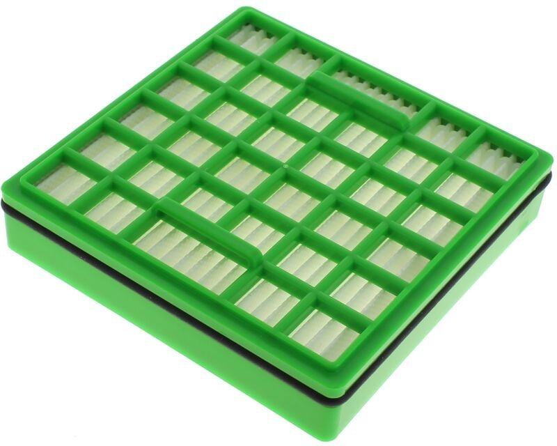 Hepa-Filter rs-rt3186 für Rowenta Staubsauger