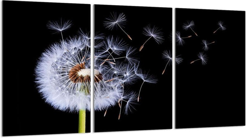 Glasschutzplatte für Herd 3x30x52