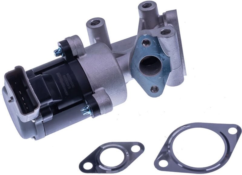 Agr-Ventil Links E400029 Denckermann