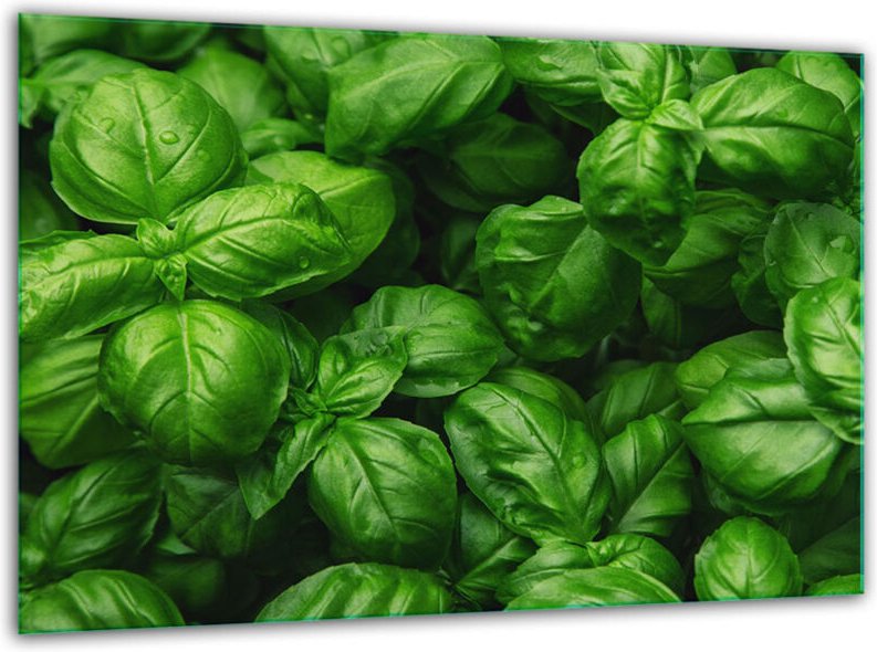 Glashackbrett MIT 30 x 22 Basilikum Temperiet