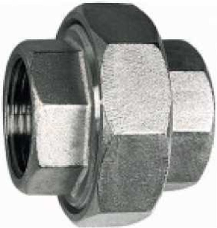 Lösb. Doppelgewindenippel, flach dichtend, g 1 i., es 1.4408 - Riegler