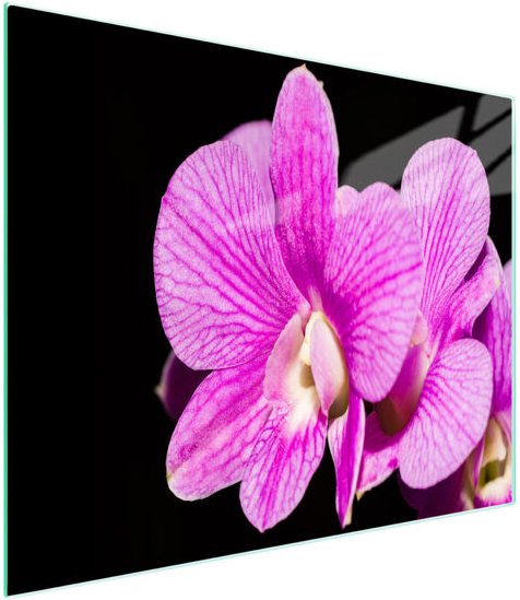 Glasschneidebrett 52x30 Orchidee