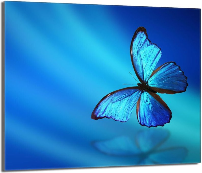 Glasschutzplatte für den Herd 60x52 Butterfly