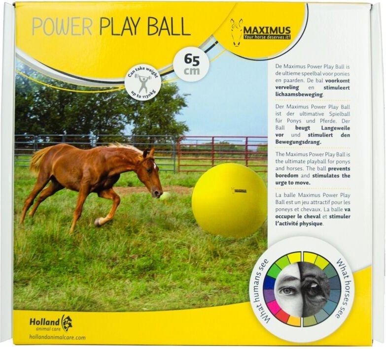 Maximus power spielball 65 cm