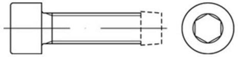 DIN 7500 Form E Gewindefurchende Zylinderkopfschraube VG M6x50 Stahl galvanisch verzinkt Innensechskant 250 Stk