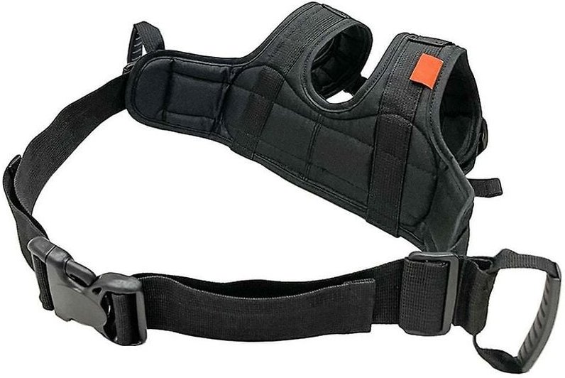 Woosien - Kinderreitgurt, Gurt Reitschutz Sicherheitsgurt Reiten Anti-Fall-Schutzgurt