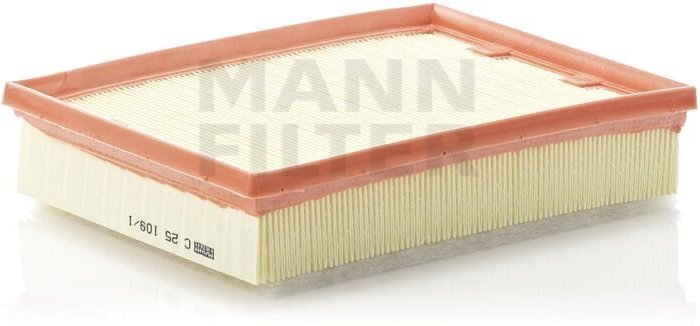 Thumbnail - Luftfilter C251091 Mann