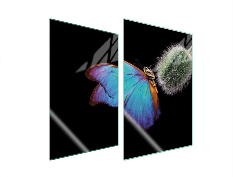 GLASSCHUTZPLATTE FÜR KÜCHE 2x35x52 BUTTERFLY
