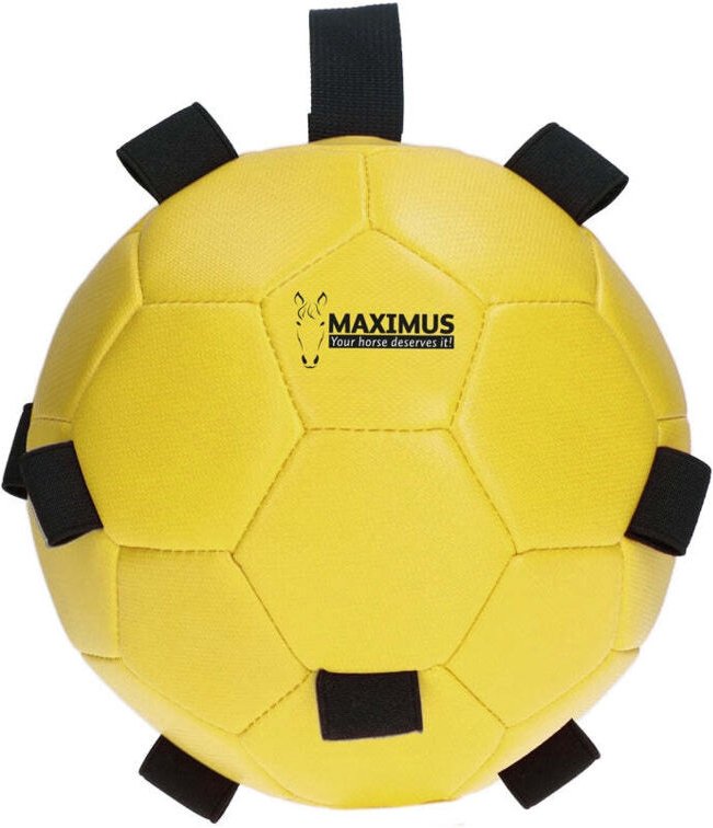 Maximus fun spielball gelb