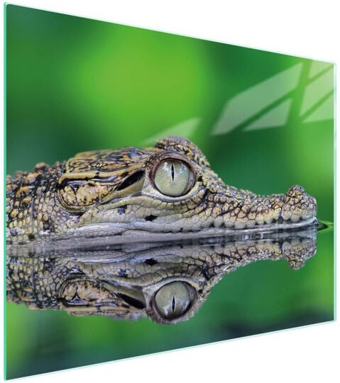 Glasschneidebrett 52x40 Krokodil