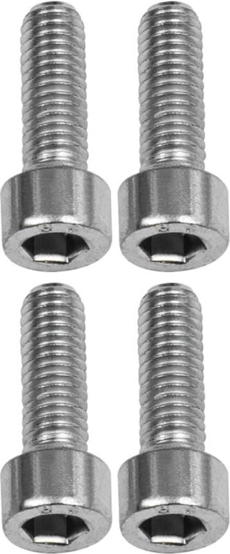 Schwenkaugenbefestigung, cetop, Ø100, mit 4 Schrauben - Riegler