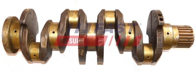 Kurbelwelle Ft51720 Schnell