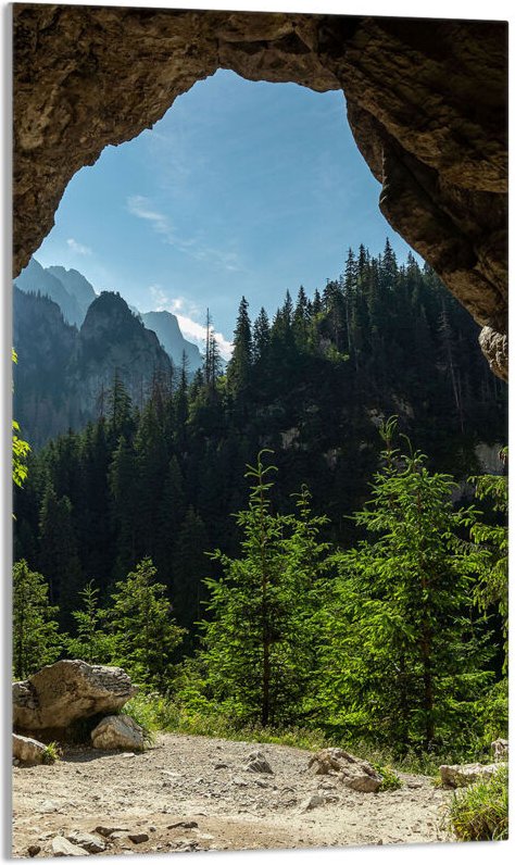 Glasschneidebrett 30x52 Bäume