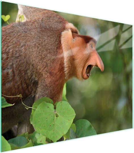 Glasschneidebrett 52x40 NOSACZ