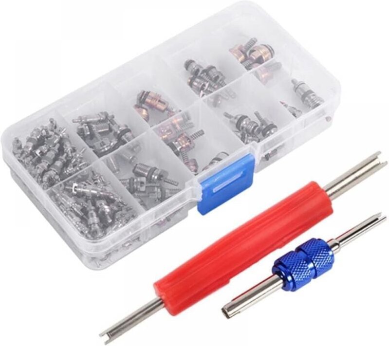 Cyslmuk - a/c R134a/R12 Kältemittelventilkerne, 102-teiliges Ventilschaftkern-Sortiment mit Entfernungswerkzeug