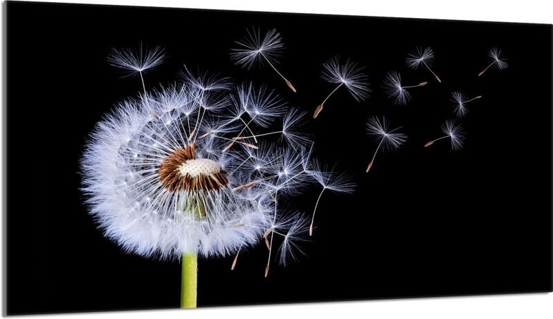 Glasherdschutzplatte 90x52 Blume