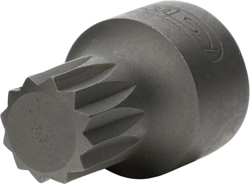 1/4" Bit-Stecknuss XZN, M9, extra kurz