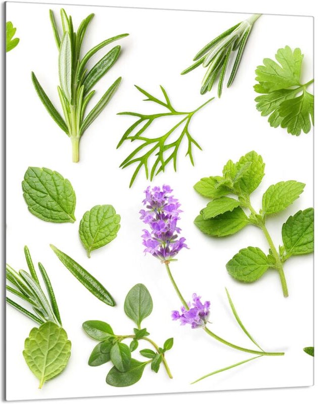 Glasschneidebrett 40x52 Pflanzen