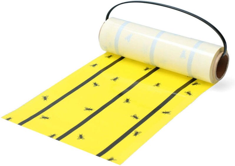 Knock pest fliegenrolle gelb
