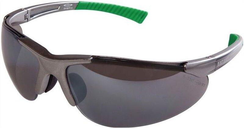 Schutzbrille Ekastu Safety Daylight dunkelgrau