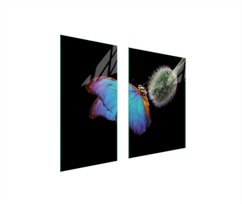 GLASSCHUTZPLATTE BOARD 75x52 BUTTERFLY