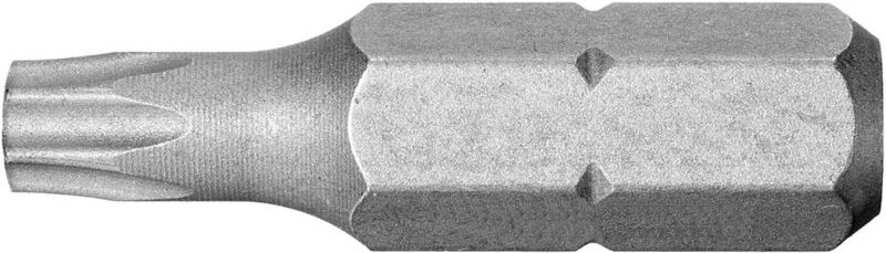 FACOM Bit Serie 1 - lang Resistorx TT15