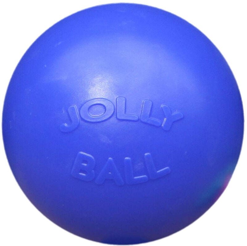 Jolly ball push n play 25cm blau