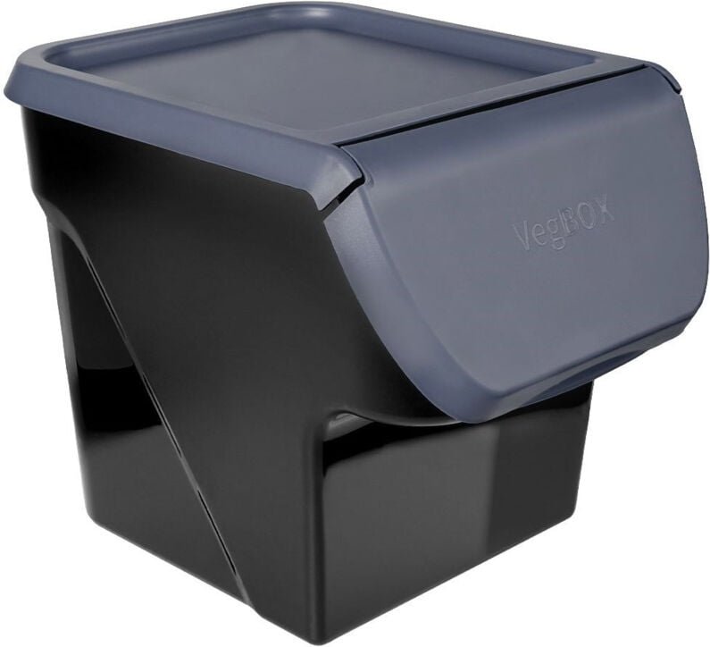 Plastic container with opening lid for fruit and vegetables