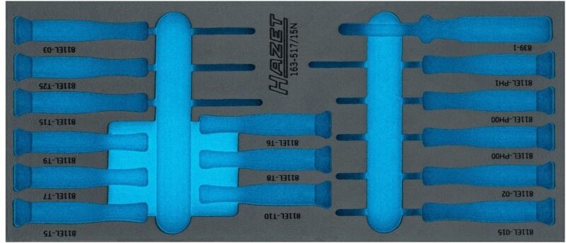 Hazet 2-Komponenten Weichschaumeinlage, L x B: 392 mm x 172 mm, für 163/517/15N