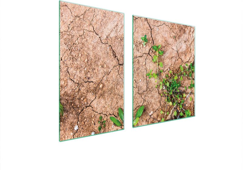 Glasplatte und Schneidebrett 100x52 Pflanzen