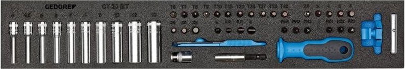 1500 CTD-20 bit Steckschlüssel-Sortiment 1/4' in Check-Tool-Modul