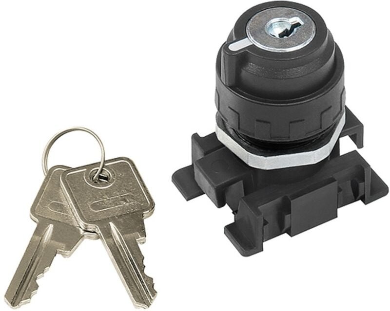 Verschließbarer 2-Stellungsschalter, Schlüsselabzug Grundstellung - Riegler