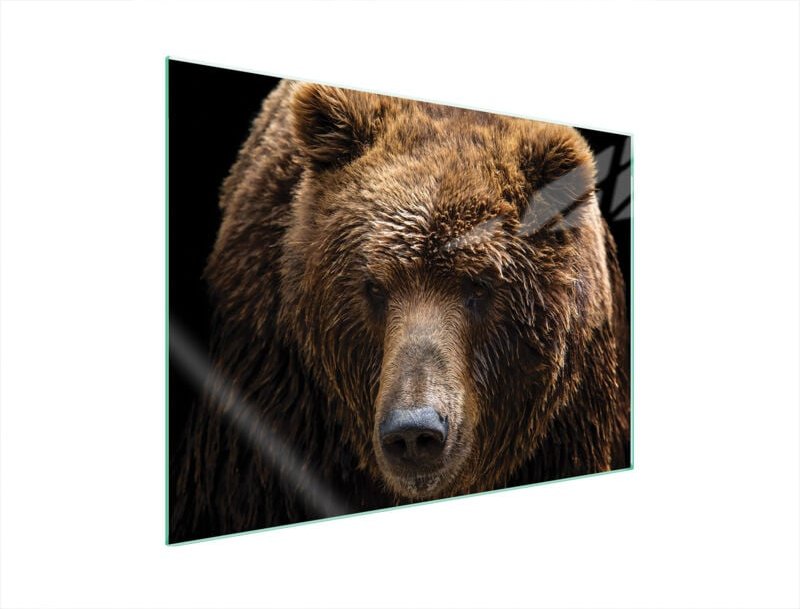 GLASSCHUTZPLATTE FÜR HERD 70x52 TEDDYBÄR