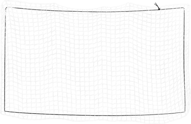Anhängernetz mit Gummiseil Weiß 2,7x1,5 m pp Vidaxl